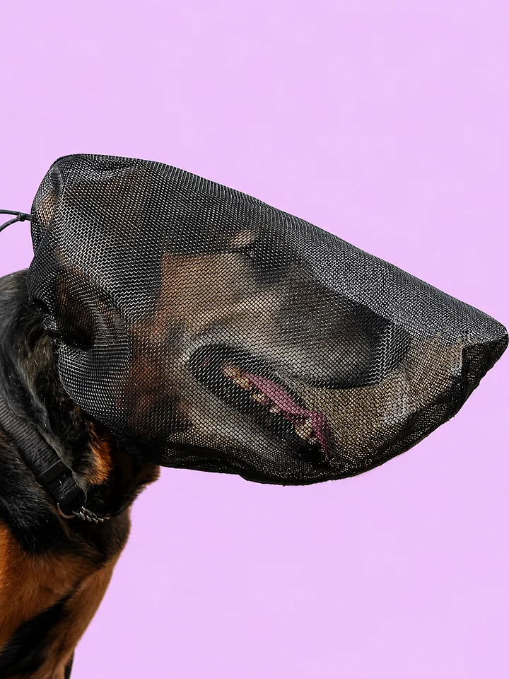 Field Guard Masks For Dogs product image (1)