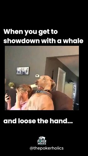 Da fk did I get called with… 🤪😂

Who’s been in this situation before!?

#onlinepoker #pokermemes #pokerlife #gambling #pokerc...