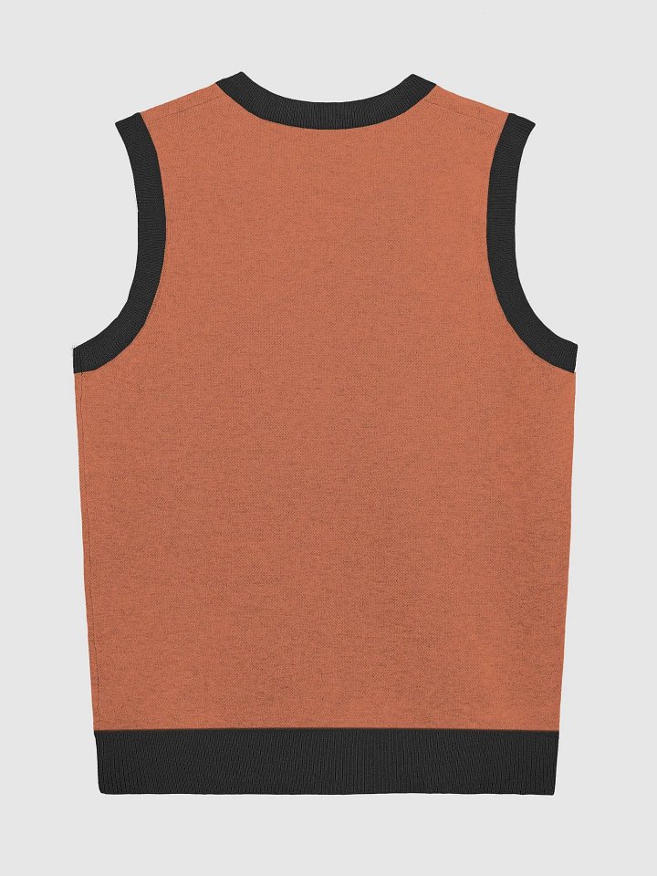 My Absolute Body knit sweater vest product image (8)