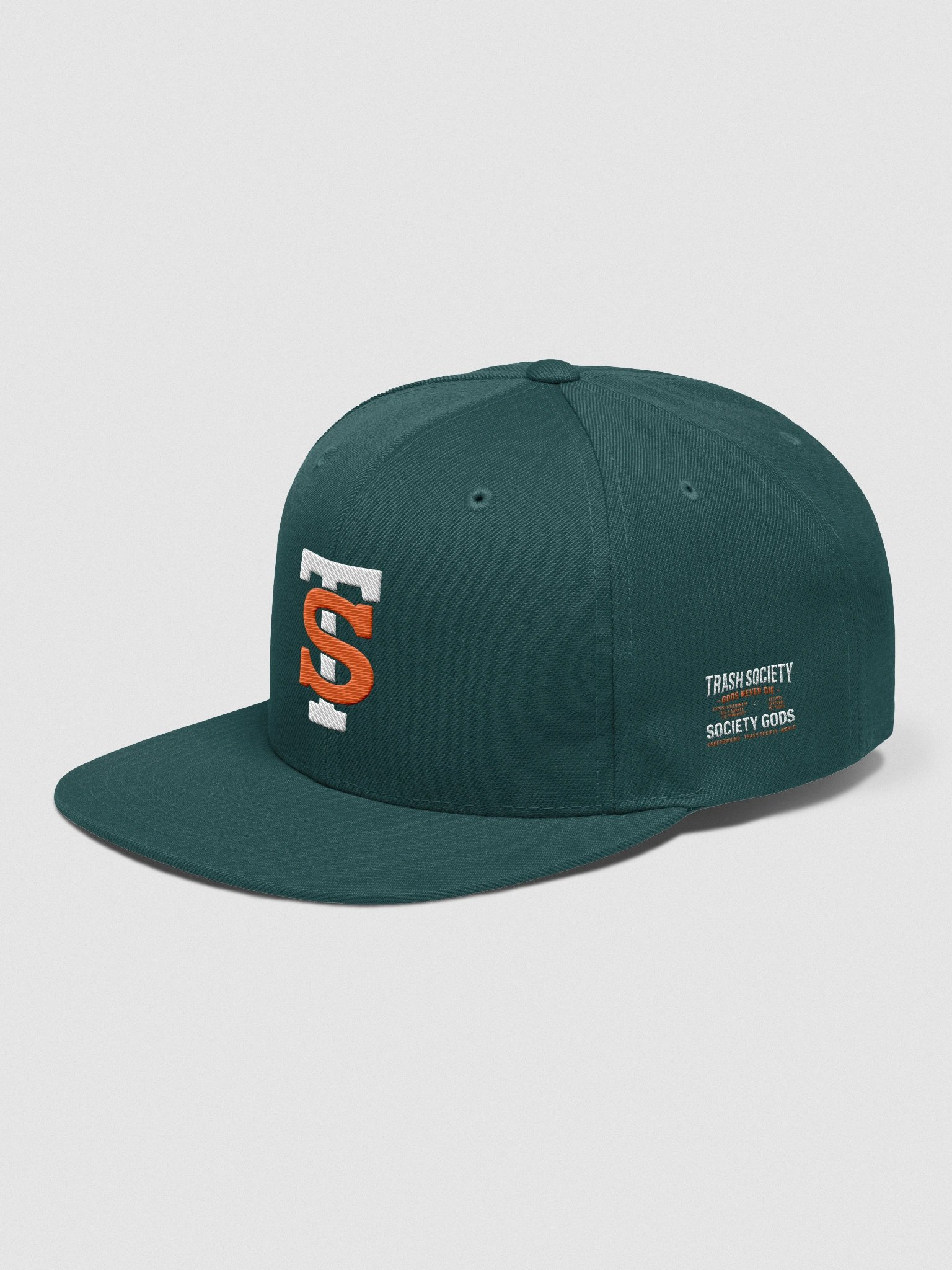 TRASH SOCIETY TS HAT product image (3)