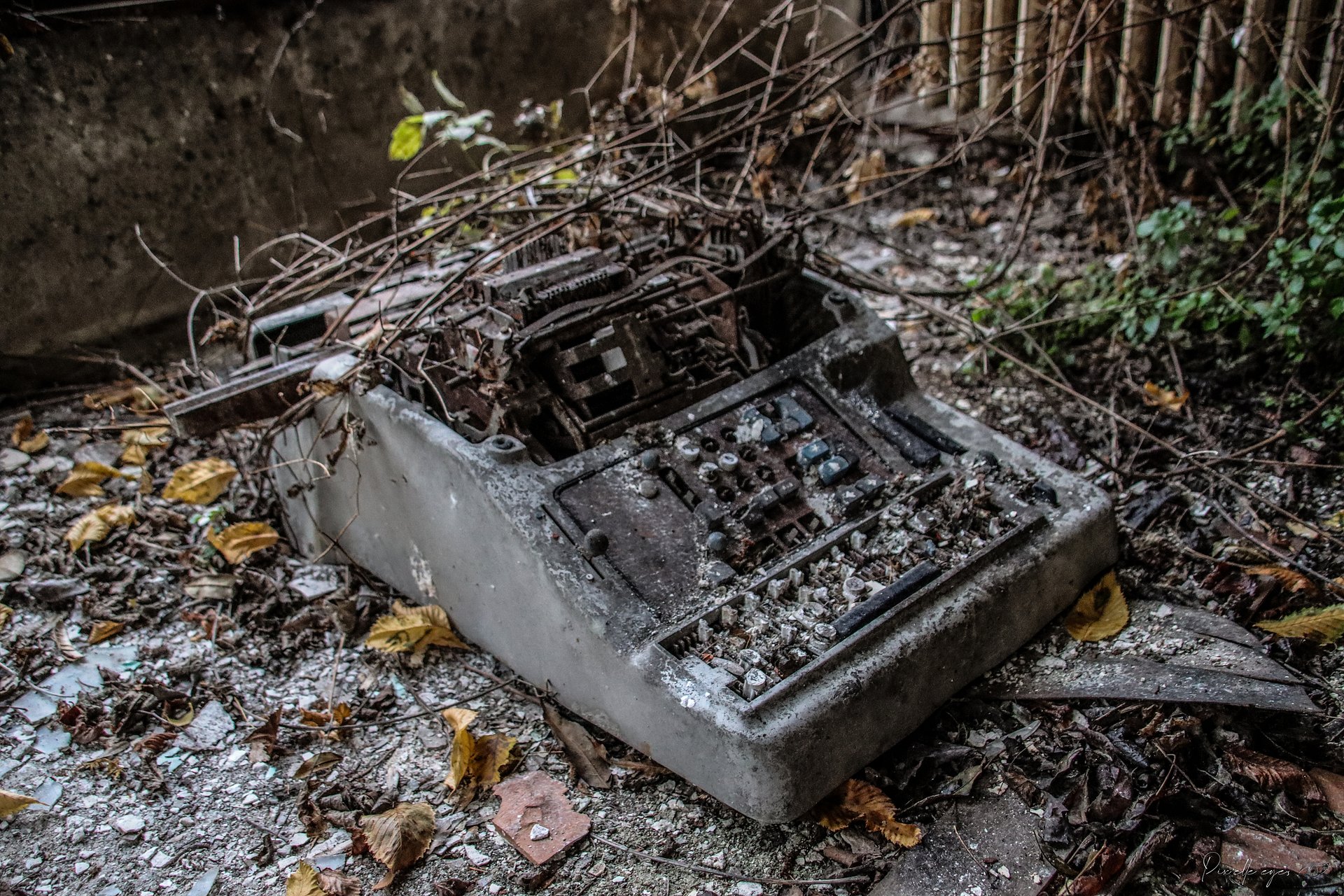 Forgotten Words – Decay of an Abandoned Typewriter product image (1)