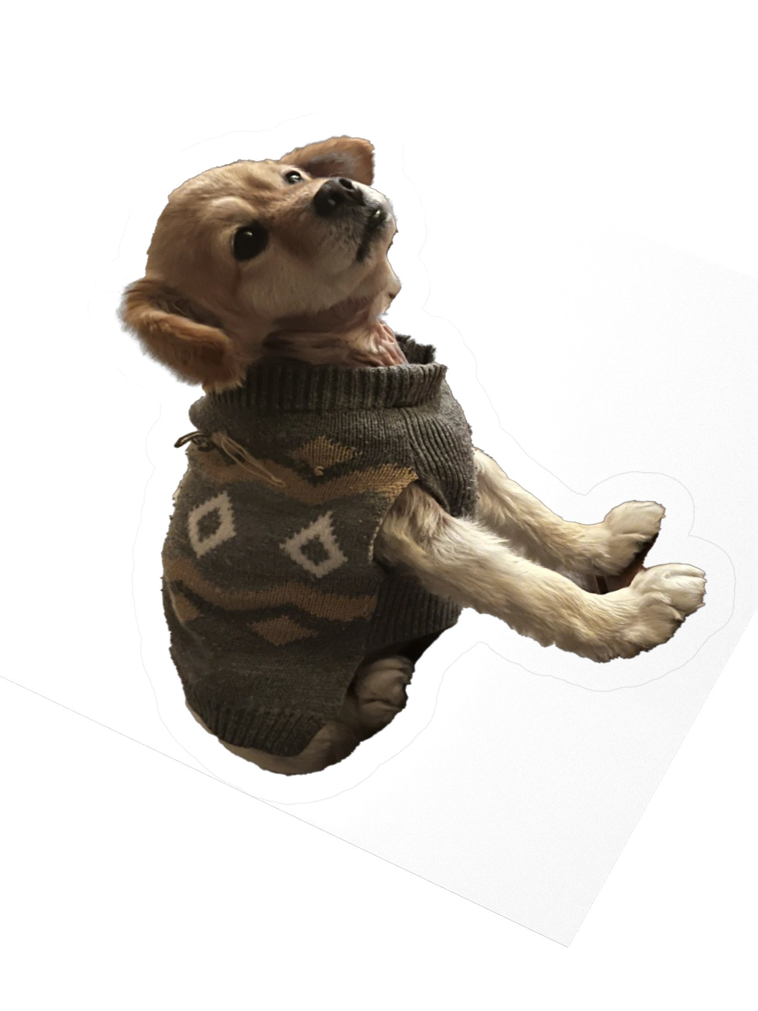 Im Sat product image (7)