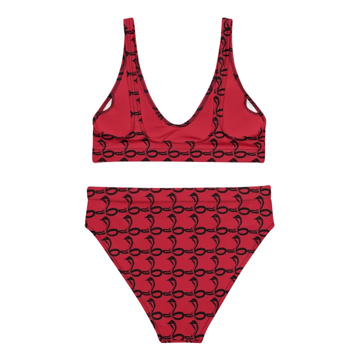 Red Radiance Recycled Bikini Set product image (2)