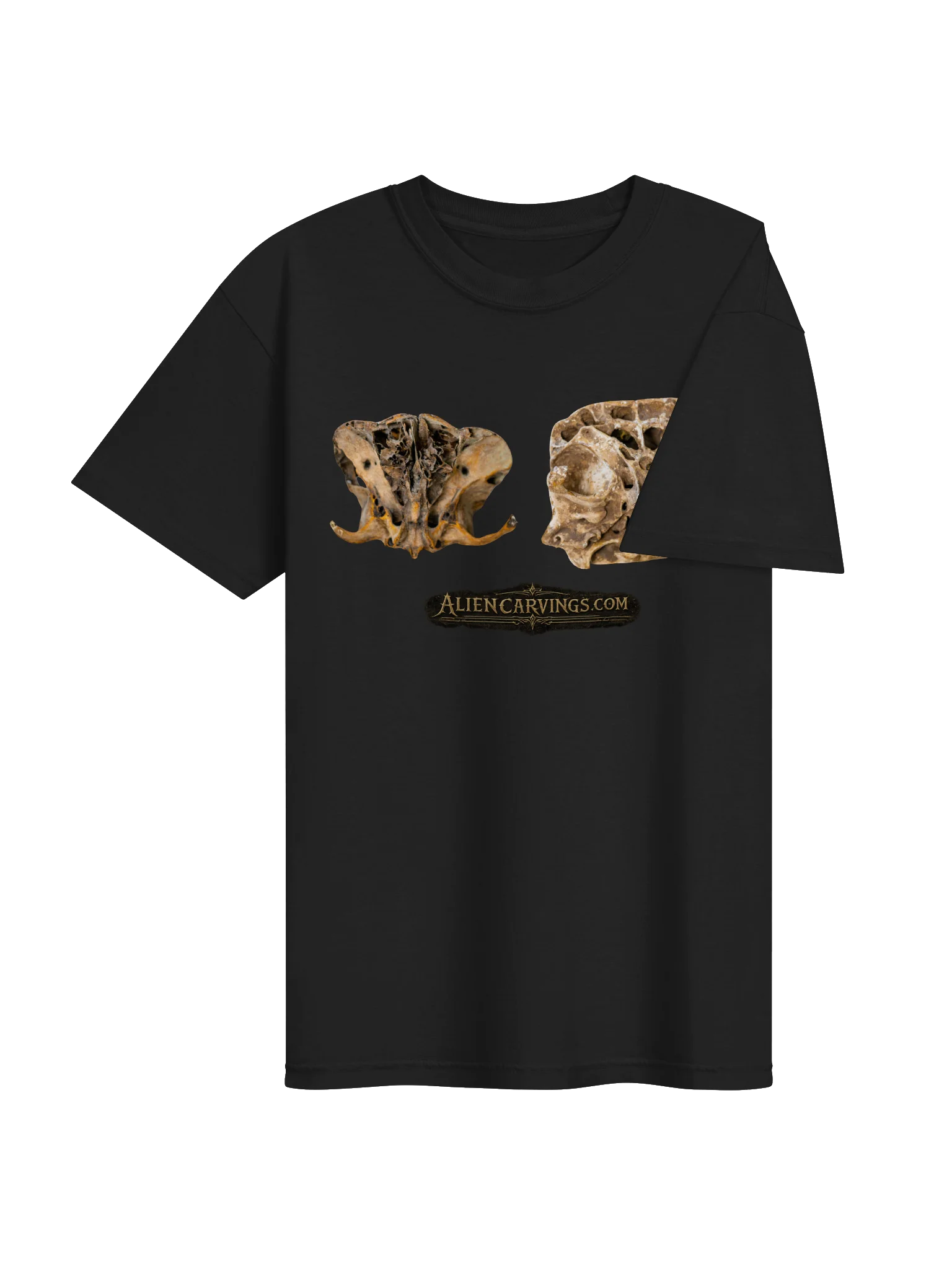 Nephilim Remains product image (4)
