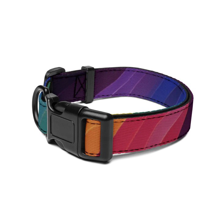 Rainbow Dog Collar product image (2)