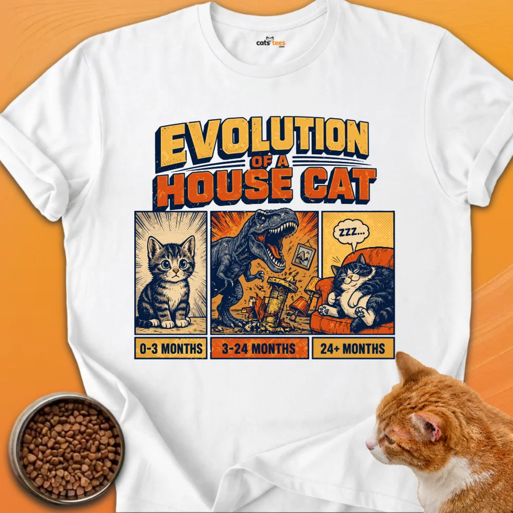 Evolution Of a House Cat product image (1)