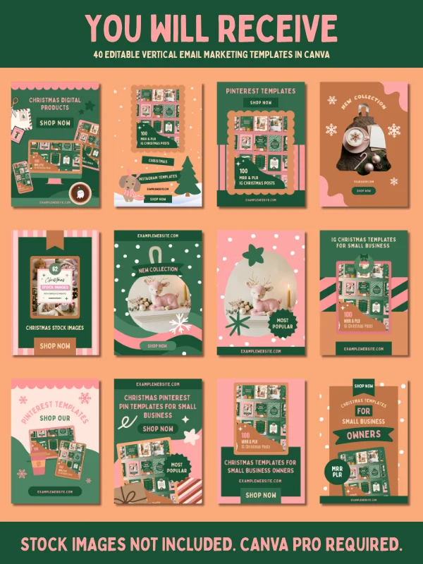 Coquette Christmas Email Marketing Template product image (4)