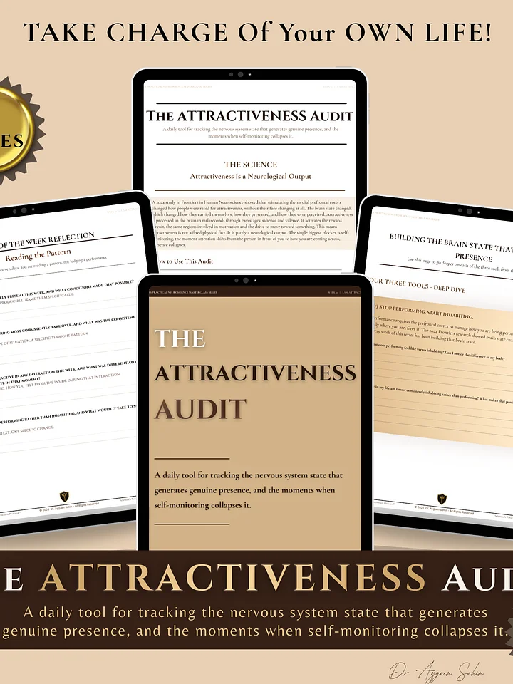 The ATTRACTIVENESS Audit product image (1)