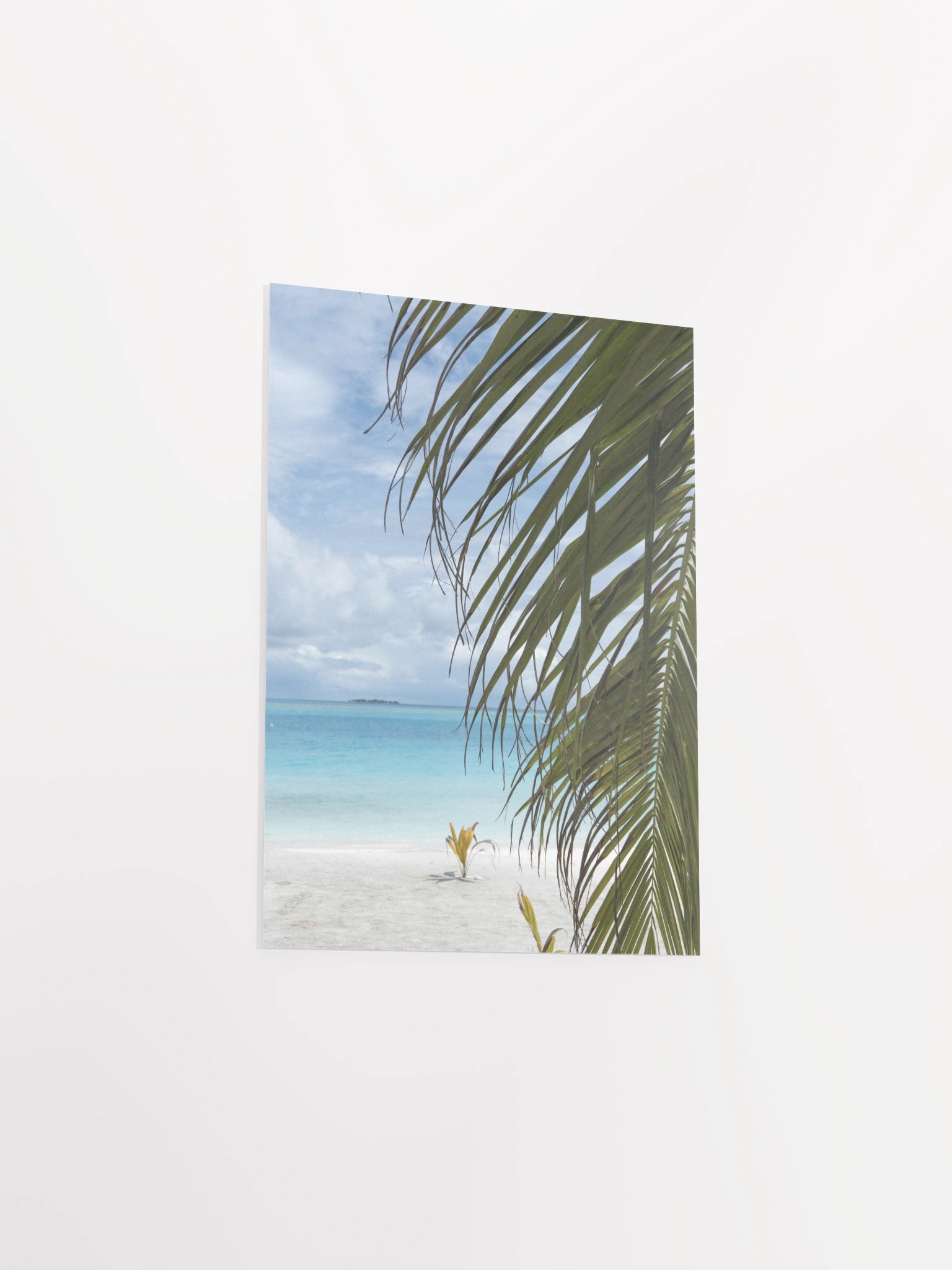 Maldives palm - Enhanced Matte Paper Poster product image (9)