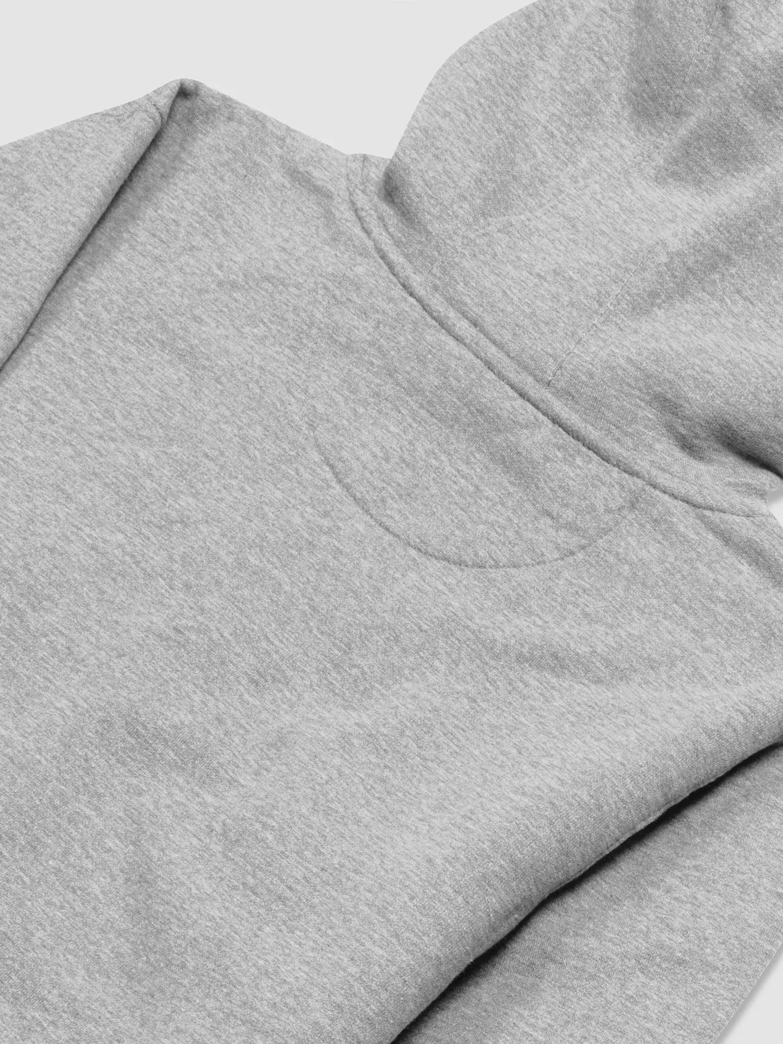 Bugsy Grey Sweatshirt product image (4)