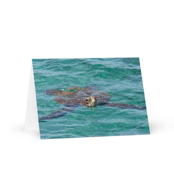 Sea Turtle Serenity Greeting Card product image (1)