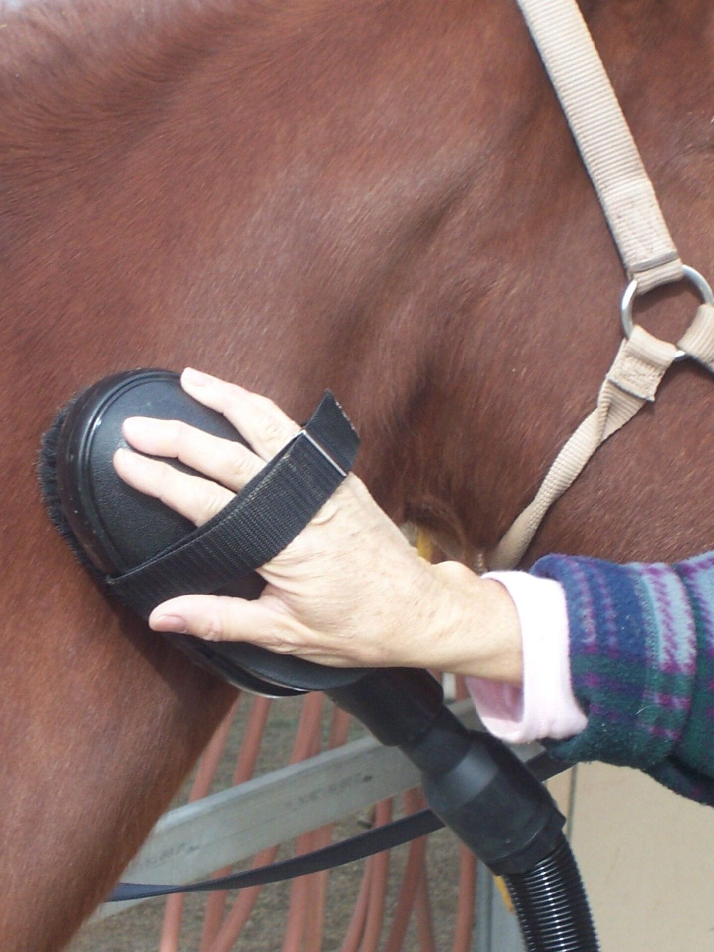 Large Animal Vacuum product image (4)