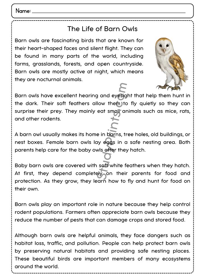 The Life of Barn Owls Reading Comprehension Passage and Questions | Printable PDF product image (2)