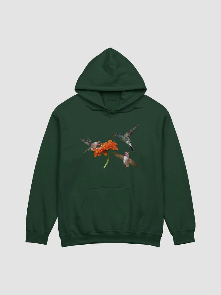 Hummingbirds Hoodie product image (1)