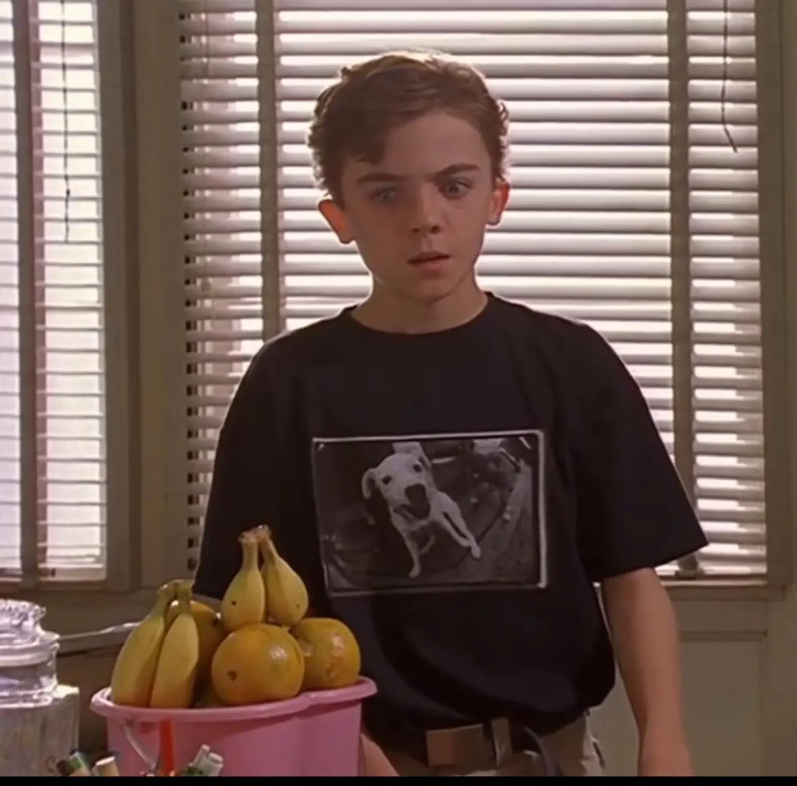 Malcolm in the Middle Dog Shirt – Pilot Episode Vintage Graphic Tee product image (1)
