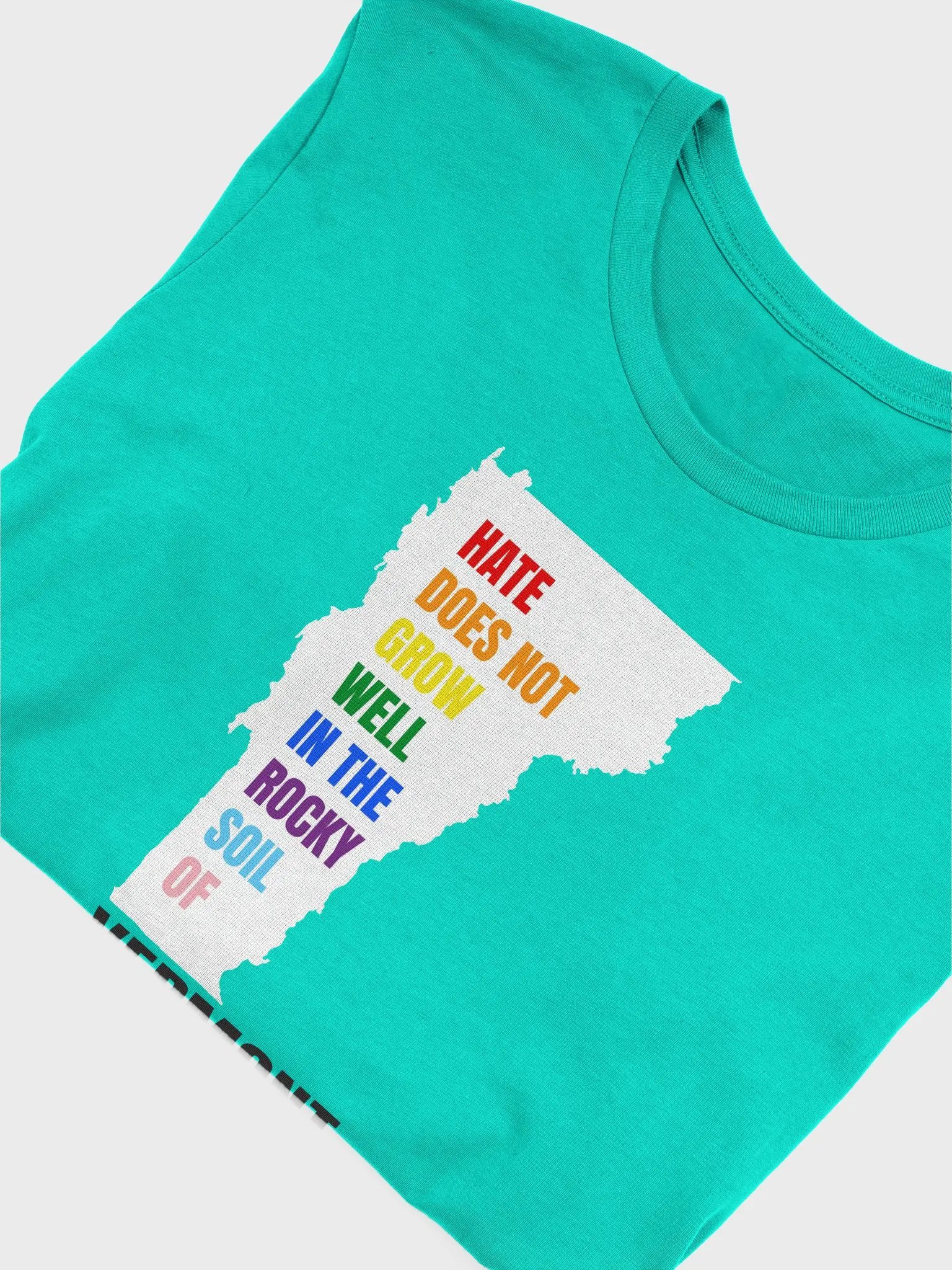 Rocky Soil State Pride Tee - Unisex product image (5)