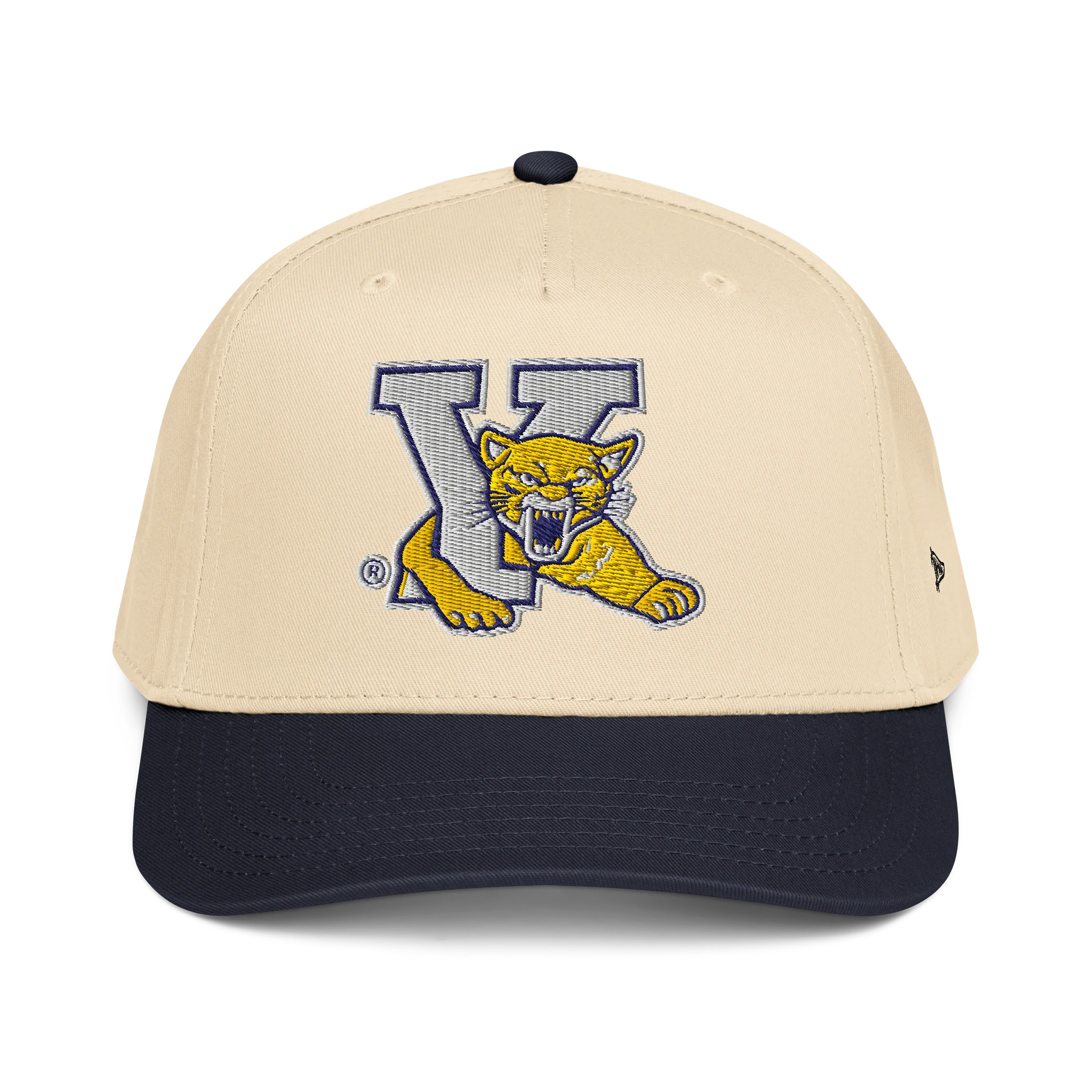 Young Collegiate Mountain Lion Cap product image (1)