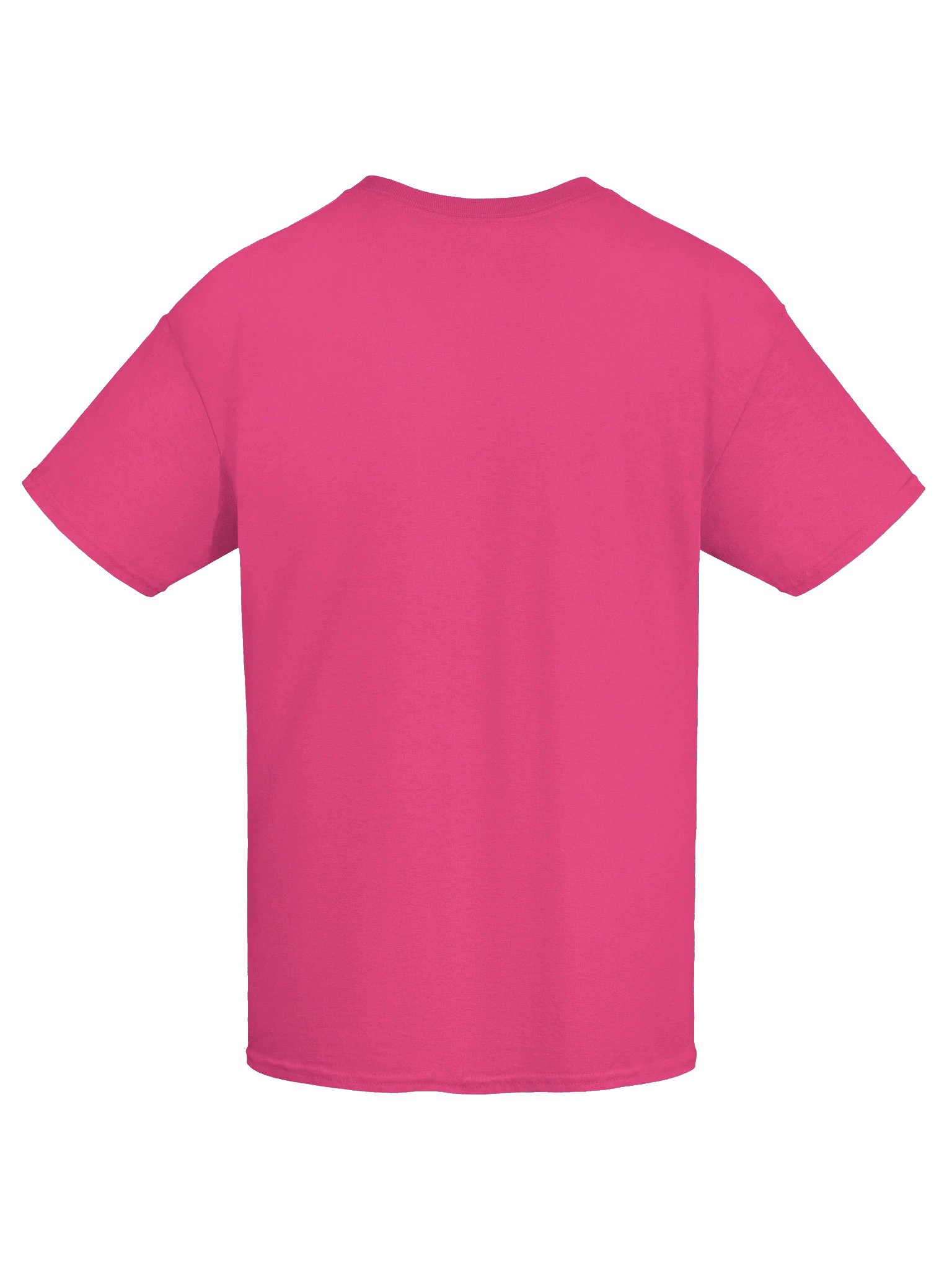 AppalShirt (Pink) product image (9)