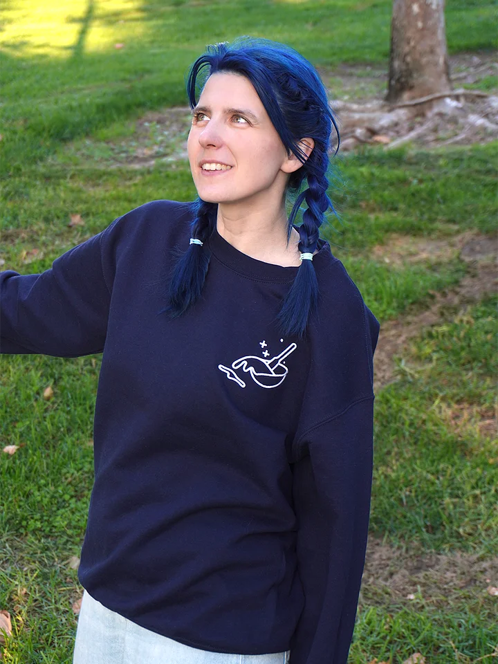 The Amateur Embroidered Sweater (Dark) product image (2)