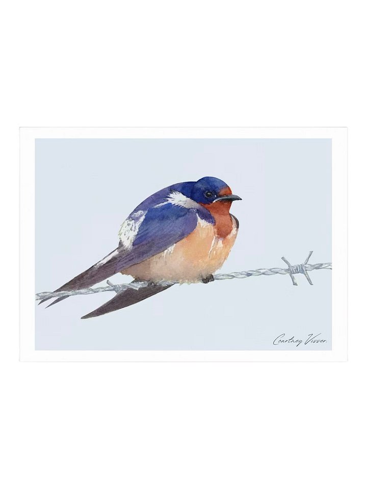 Barn swallow print product image (1)