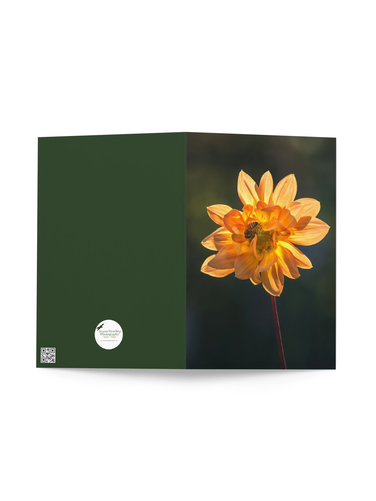 Busy Bee in Dahlia Notecard product image (2)