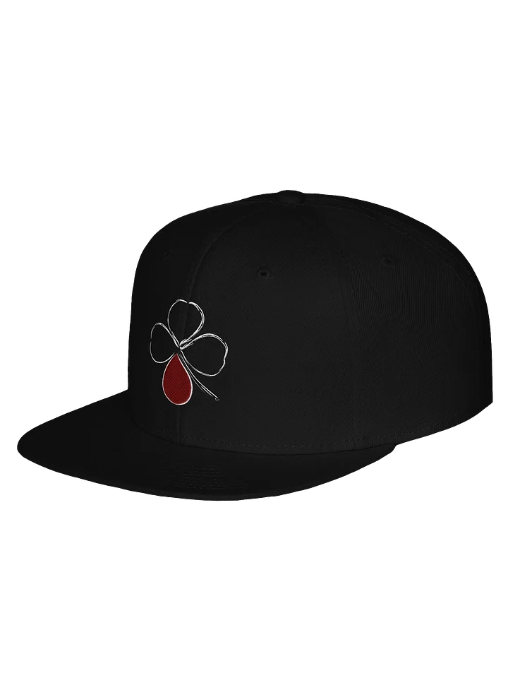 Classic Snap Back Hat product image (2)
