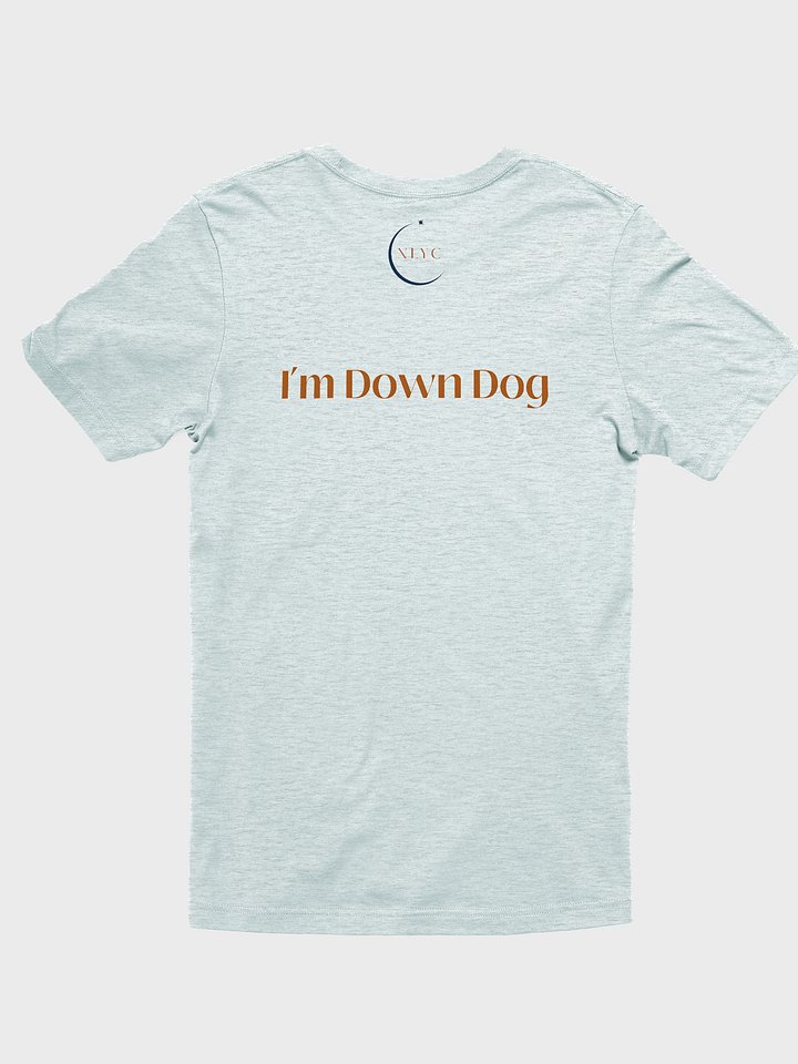 Yoga Retreat? I'm Down Dog Unisex Lightweight T product image (26)