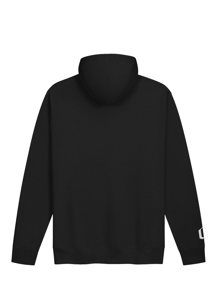 The Banner Logo Hoodie product image (2)