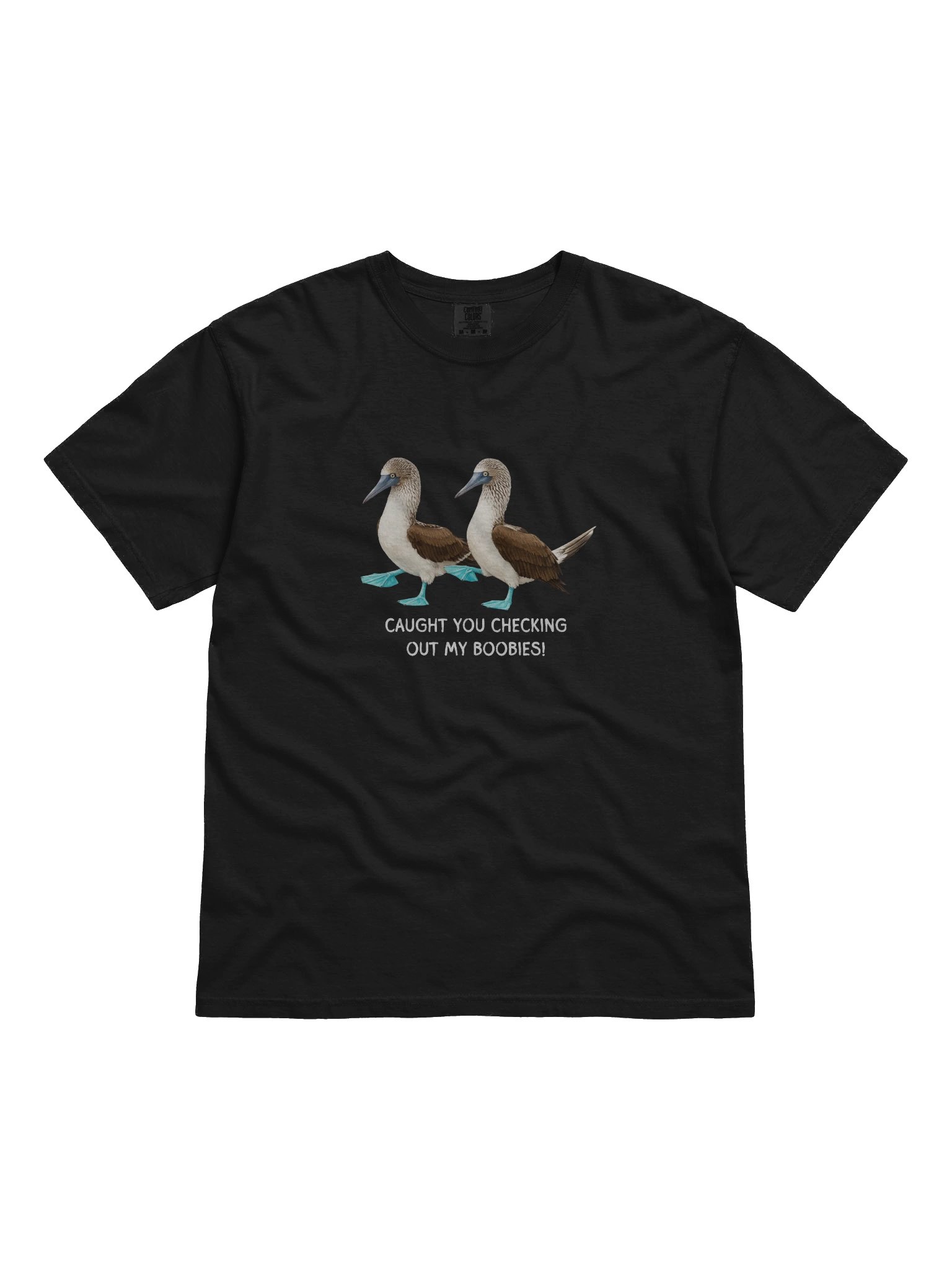 The Blue Footed Booby product image (1)