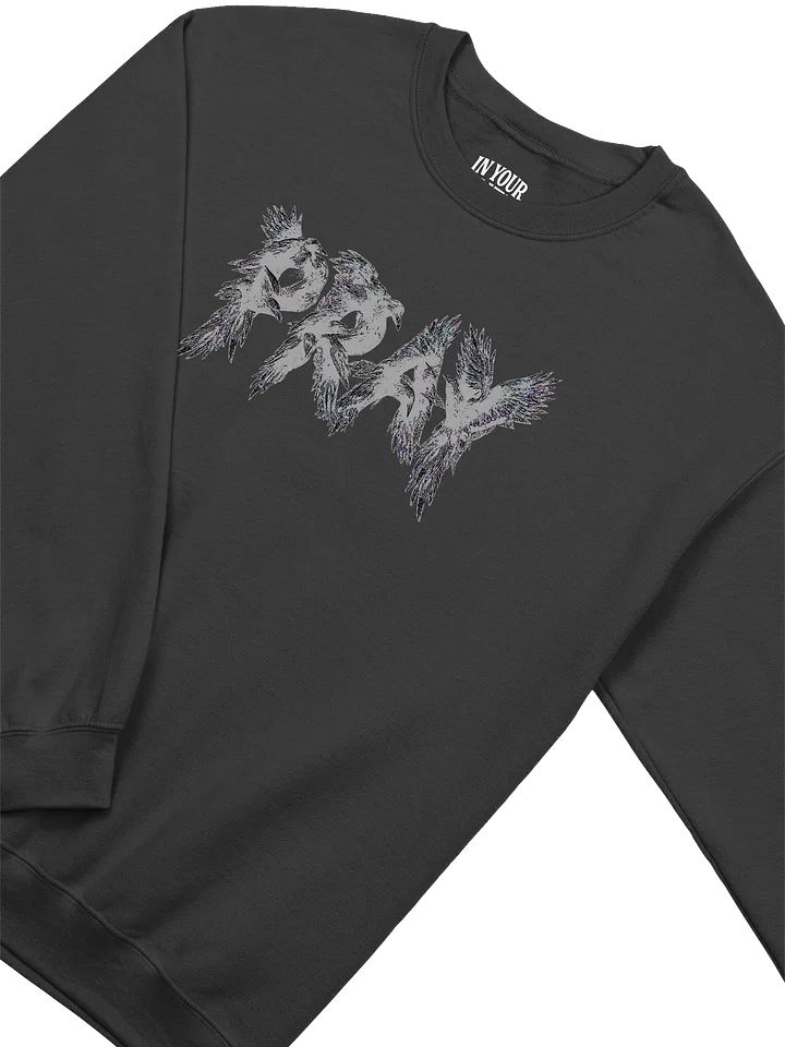 Birds Of Pray Sweatshirt product image (2)