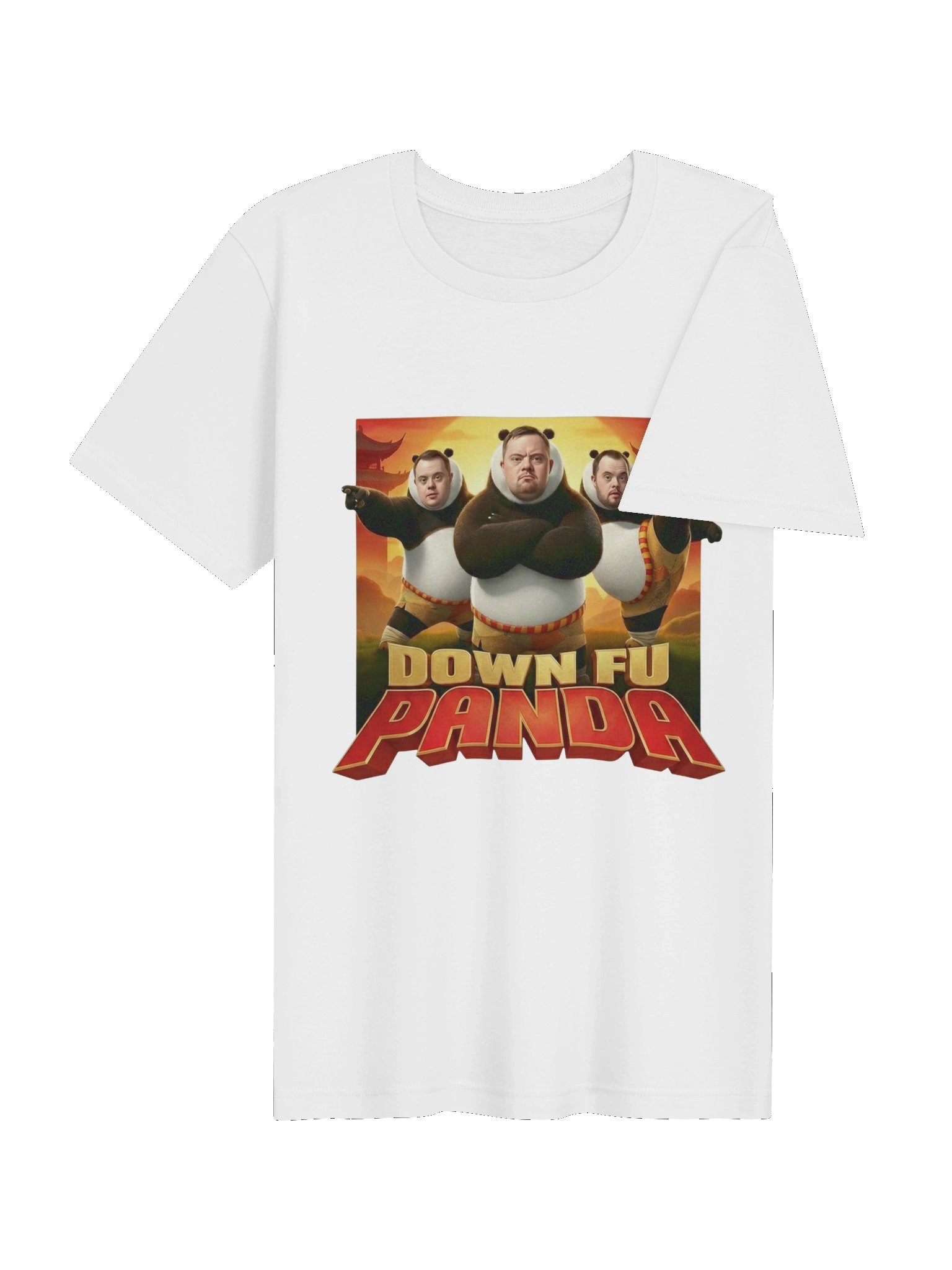 Down Fu Panda tshirt product image (64)