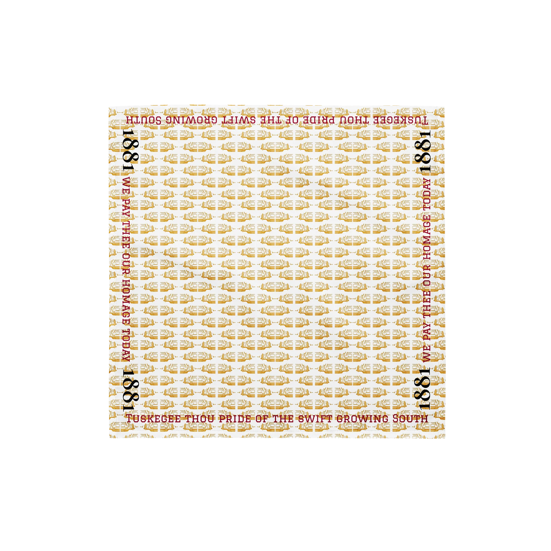 Thou Pride Scarf product image (1)