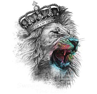 Swag Boy The Lion - Merch -