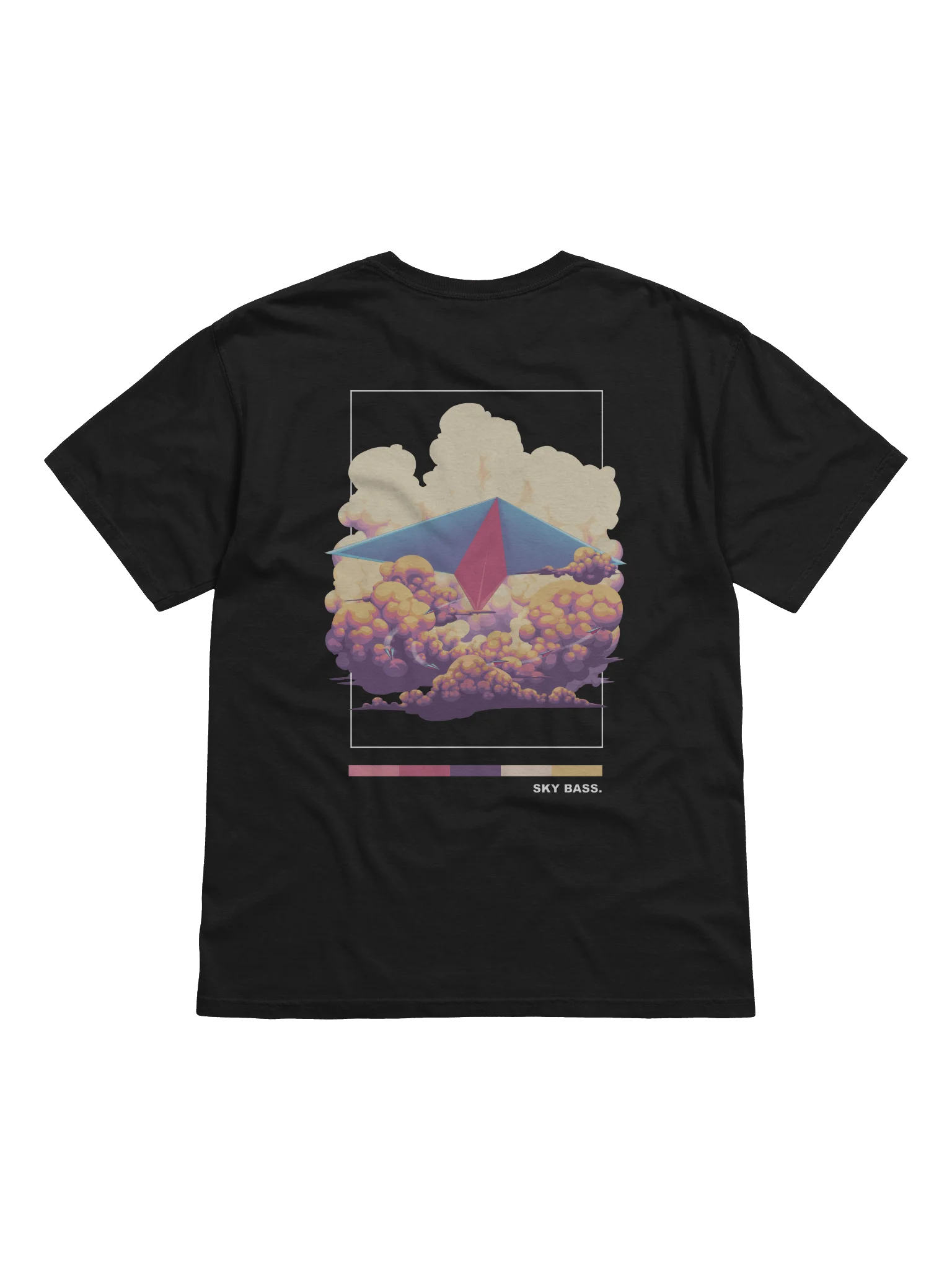 SKY BASS AIRPLANE BACKPRINT product image (1)