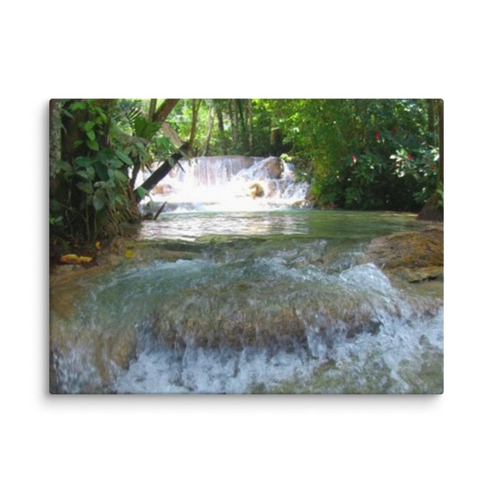 Nature's Canvas product image (3)