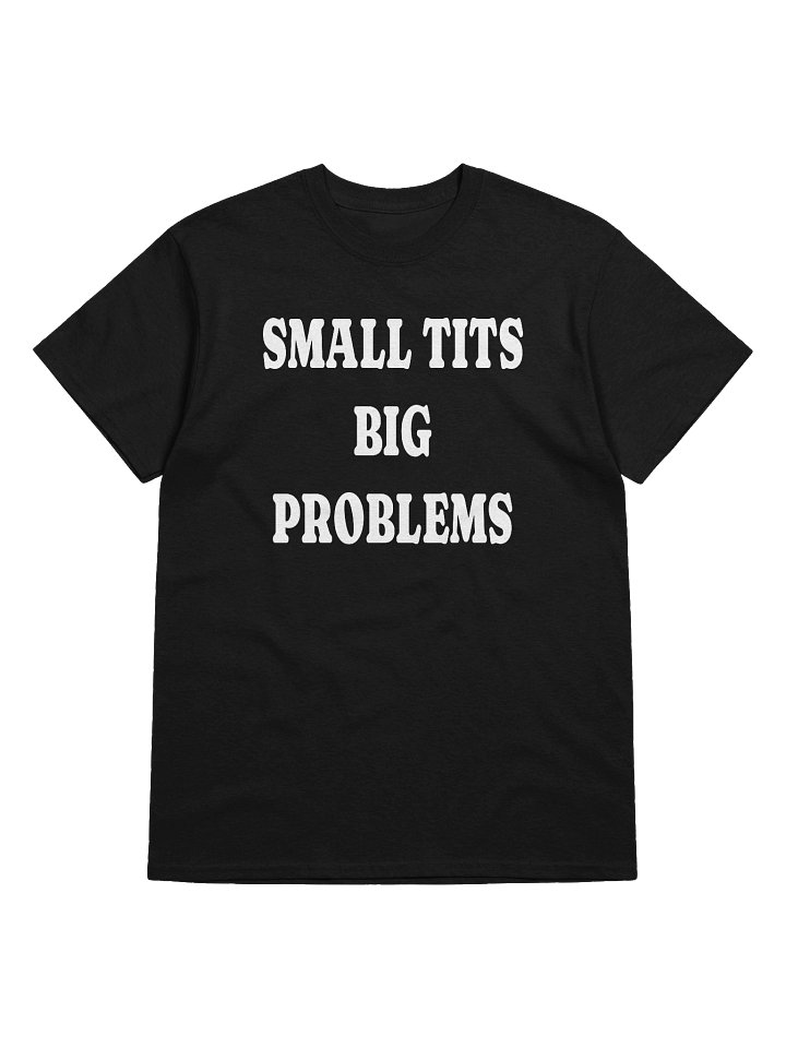 SMALL TITS BIG PROBLEMS T-Shirt product image (1)