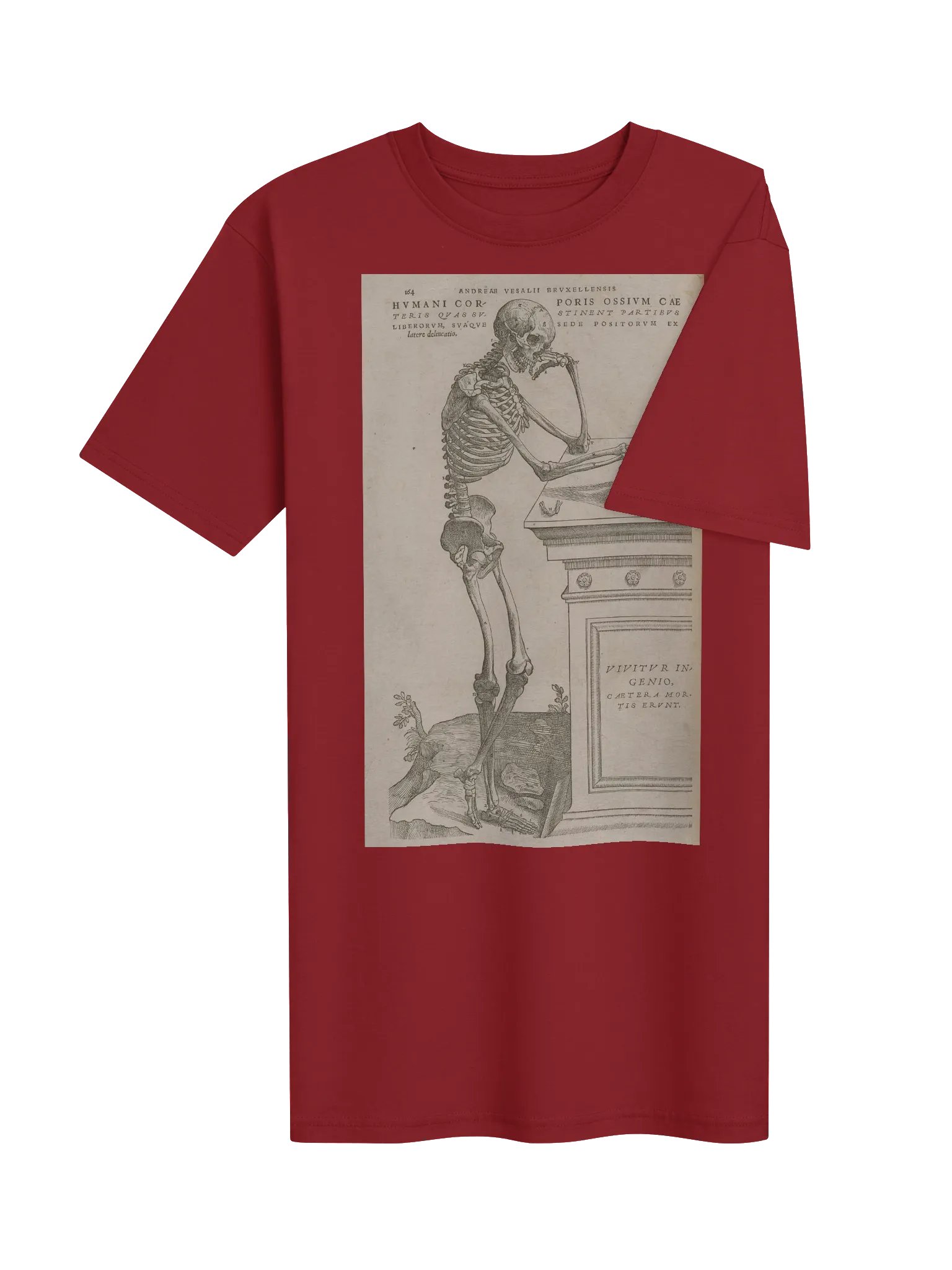 "Skeleton Pondering Mortality" by Andreas Vesalius. product image (5)