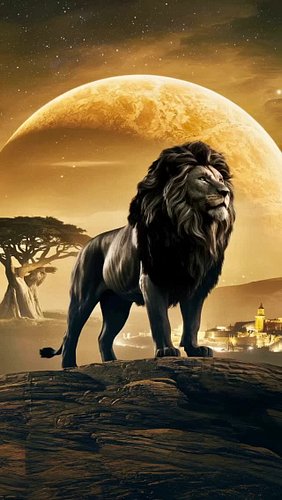 ✨👑✨

#ReignLikeKings 🔥⚔️ 🙌🏾

👑Follow @triumfulwarrior 
⚔️Follow @triumfulwarrior 
🏛Follow @triumfulwarrior

https://www.insta...