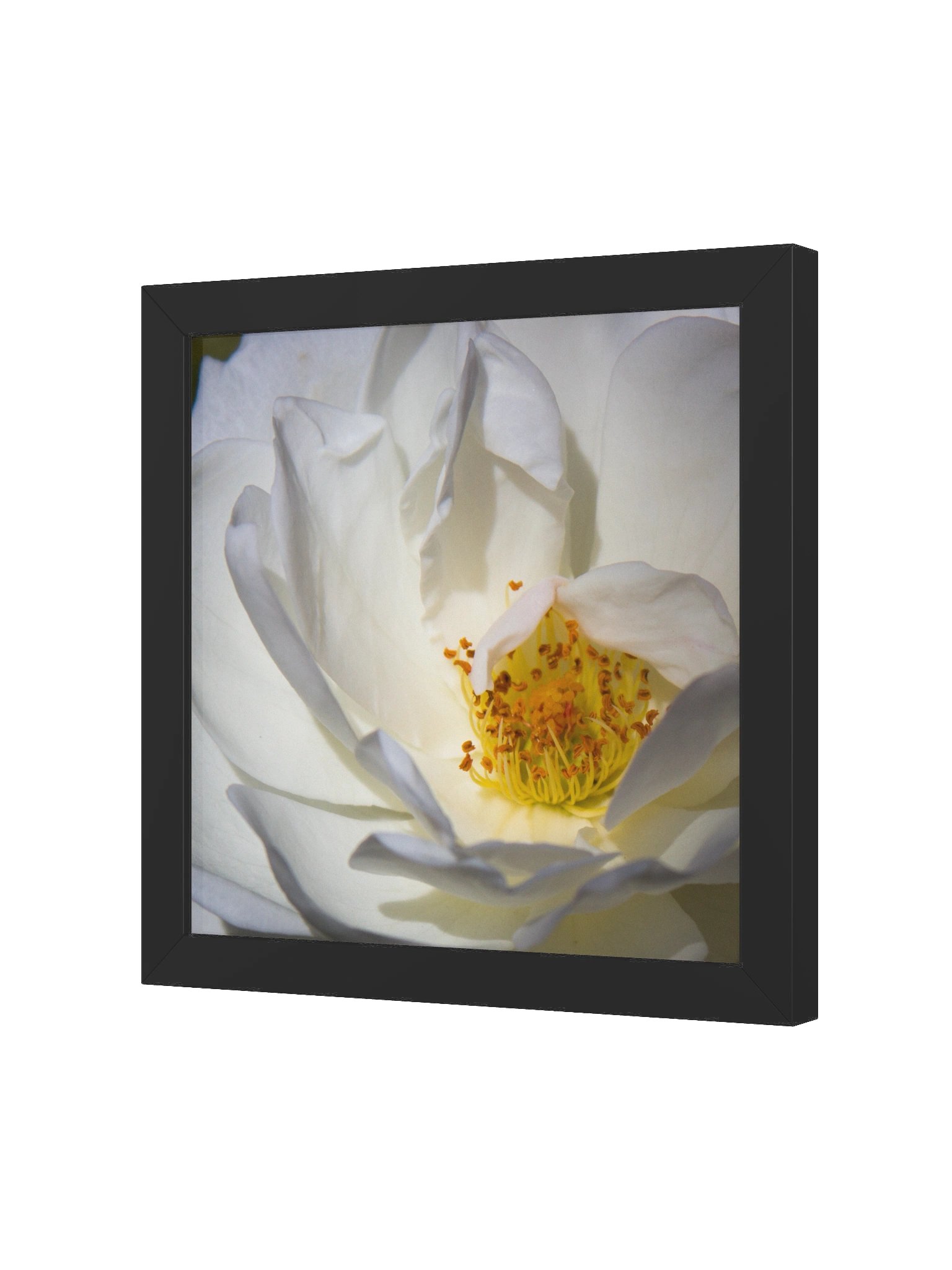 Shelter product image (6)