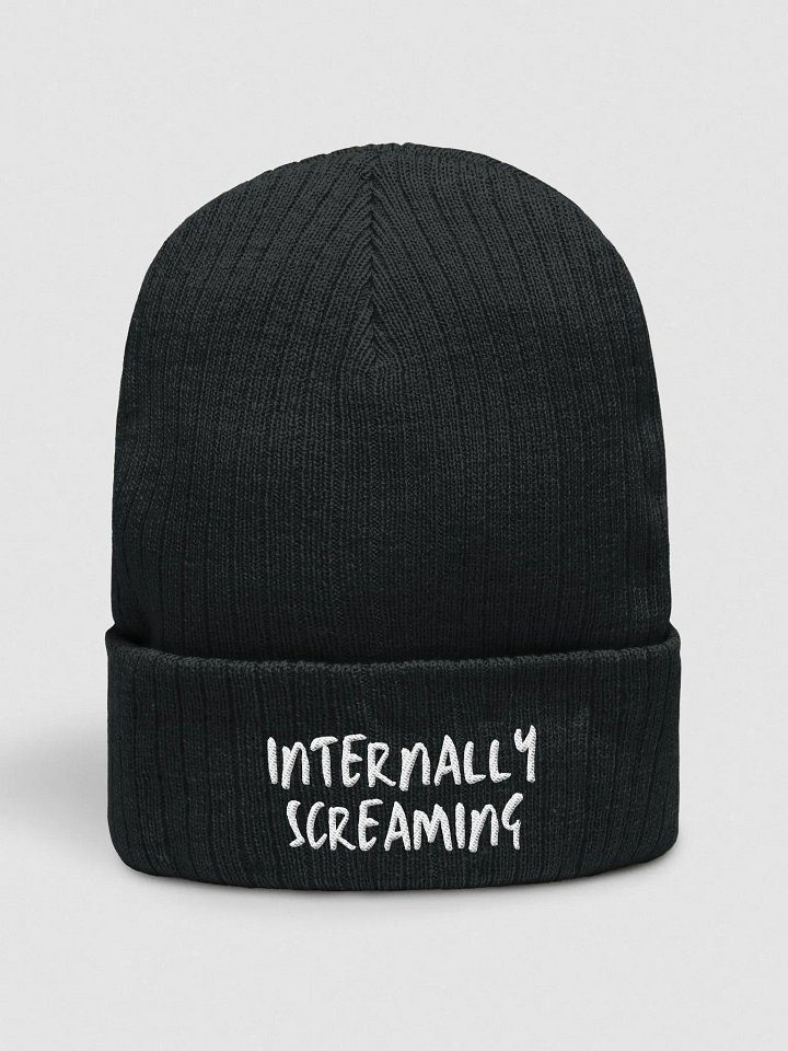 internally screaming beanie product image (1)
