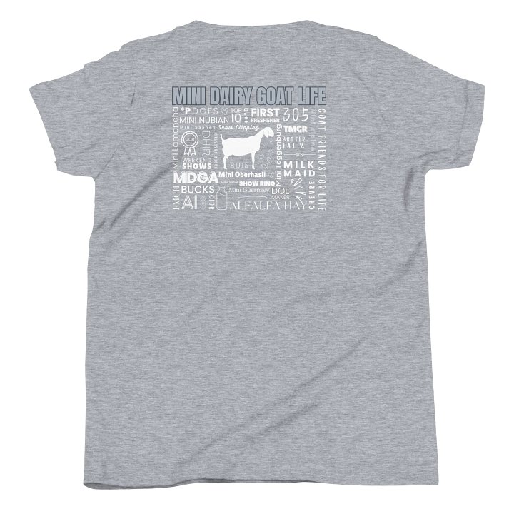 YOUTH - Nubian Mini Dairy Goat Life product image (1)