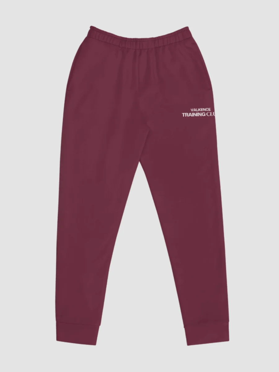 Training Club Joggers - Plum product image (5)