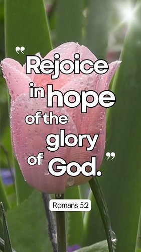 Rejoice in Hope
🩷🤍🩷🤍🩷🤍🩷🤍🩷🤍🩷🤍🩷🤍
Romans 5:2 — “Rejoice in hope of the glory of God.”
#BibleVerses #DailyBibleVerse #GodsWord #C...