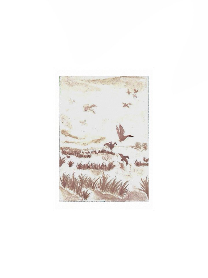 #5 Ducks in Sepia - The Wildwood Wash product image (4)