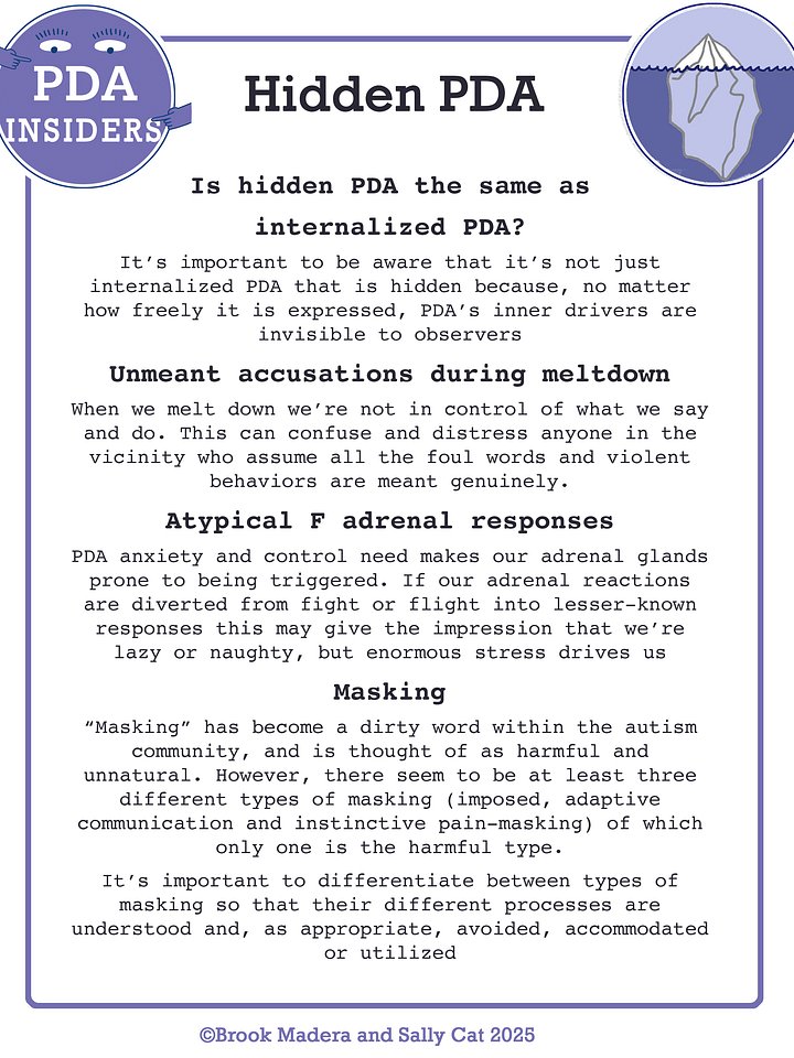 Hidden PDA product image (1)