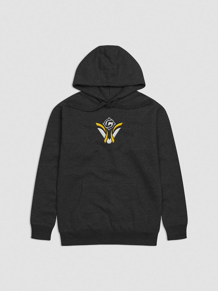 Visionary x CoopStreams Embroidered Hoodie product image (1)