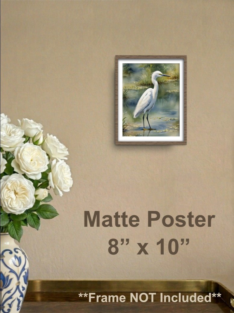 Snowy Egret Matte Poster product image (1)