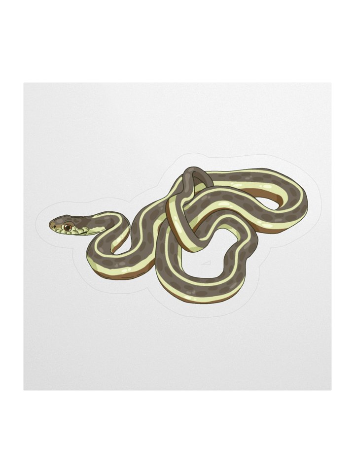 Eastern Garter Snake - Thamnophis sirtalis sirtalis Sticker product image (1)