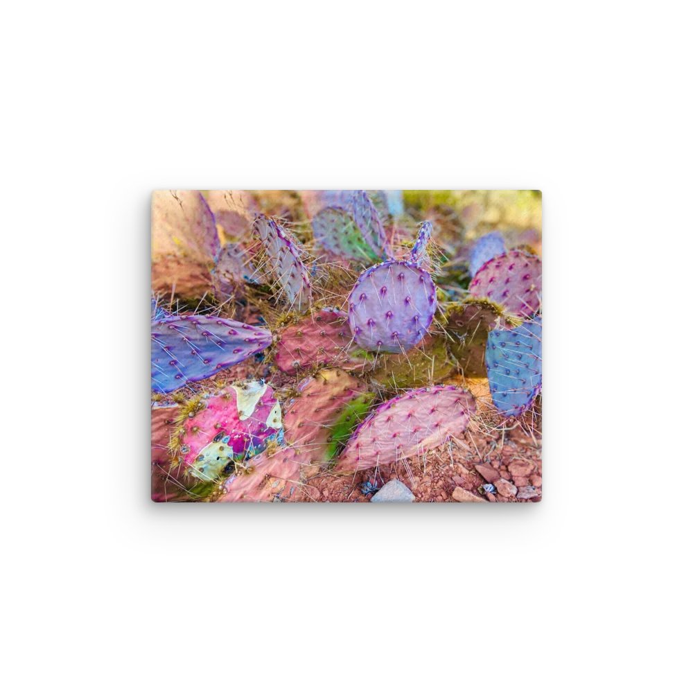Vibrant Cacti Patch: Canvas Print product image (1)