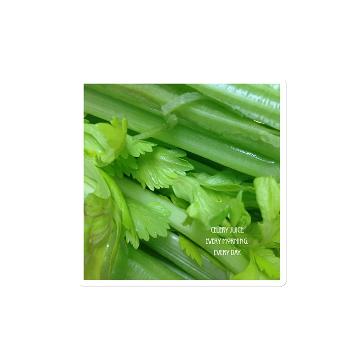 Celery Juice- Every morning. Every day- Magnet product image (2)